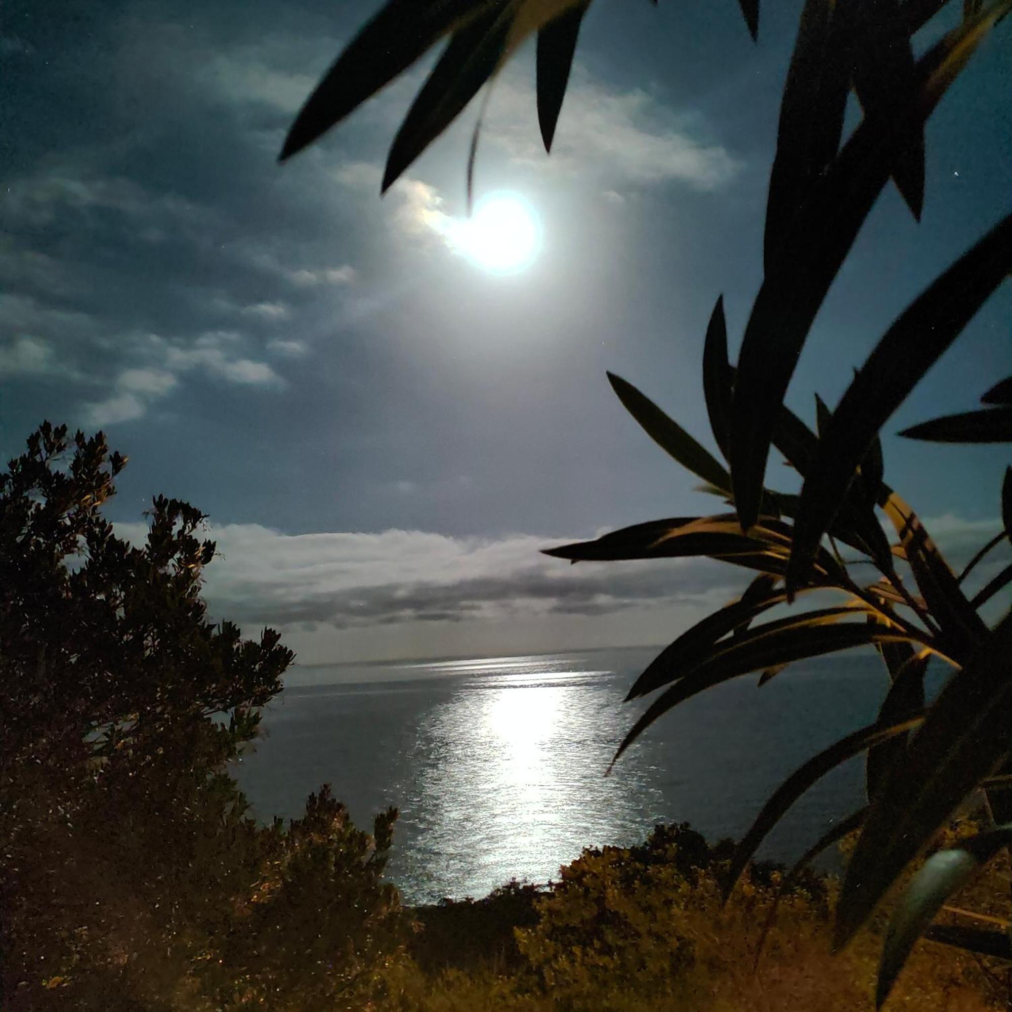 Studio Vue Sur Mer Conca Esterno foto