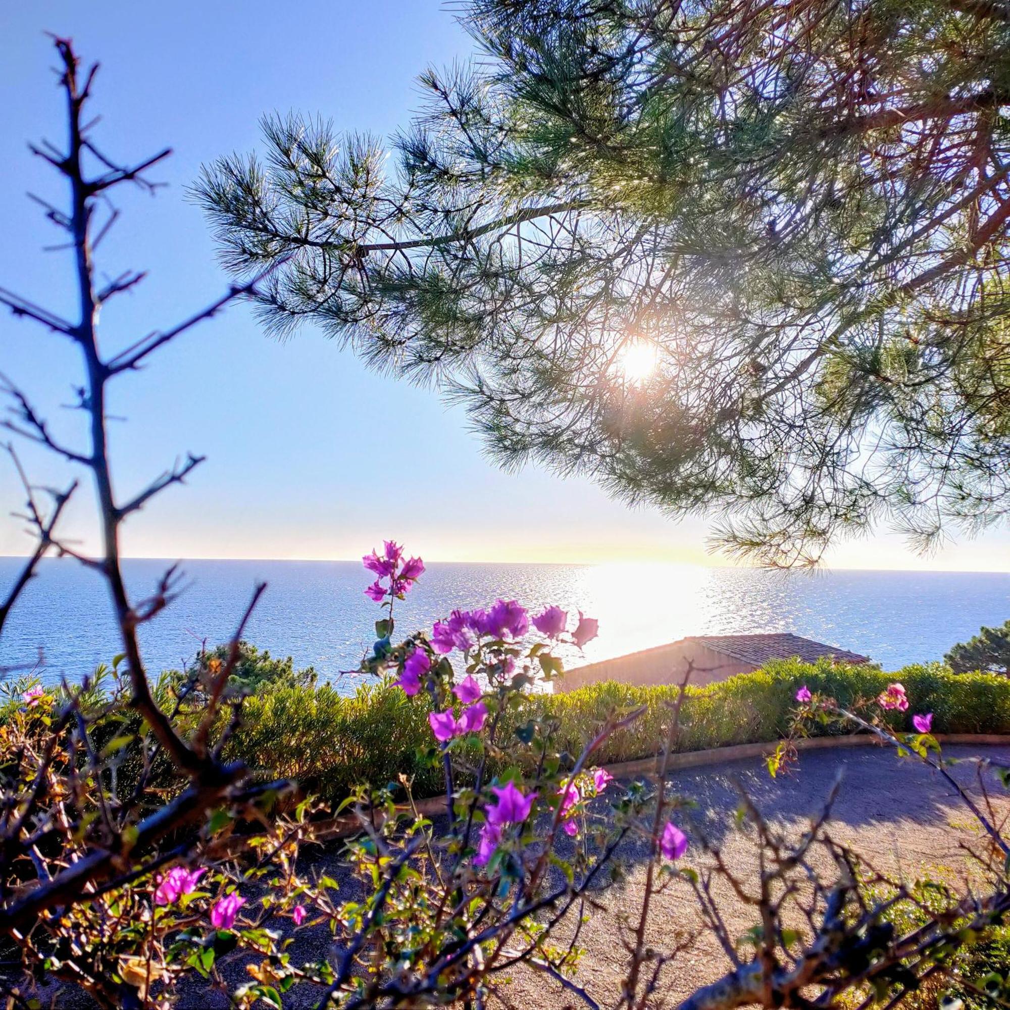 Studio Vue Sur Mer Conca Esterno foto
