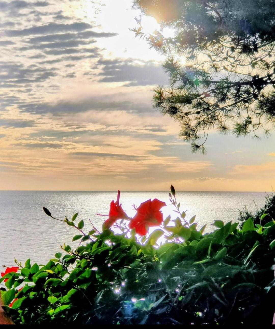Studio Vue Sur Mer Conca Esterno foto